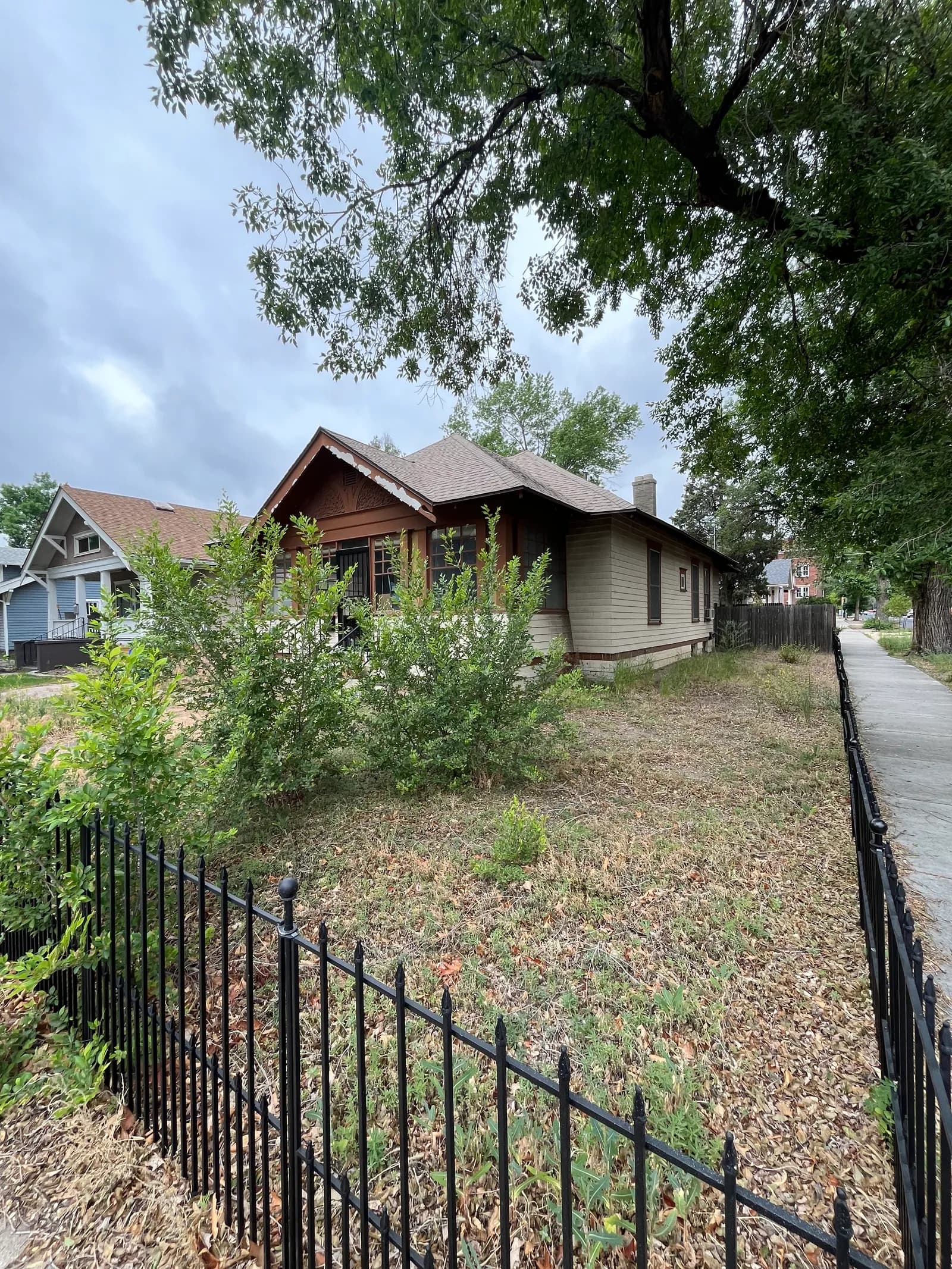 Neglected yard of a vacant house — dead grass, leaf litter and overgrown shrubs — before landscaping