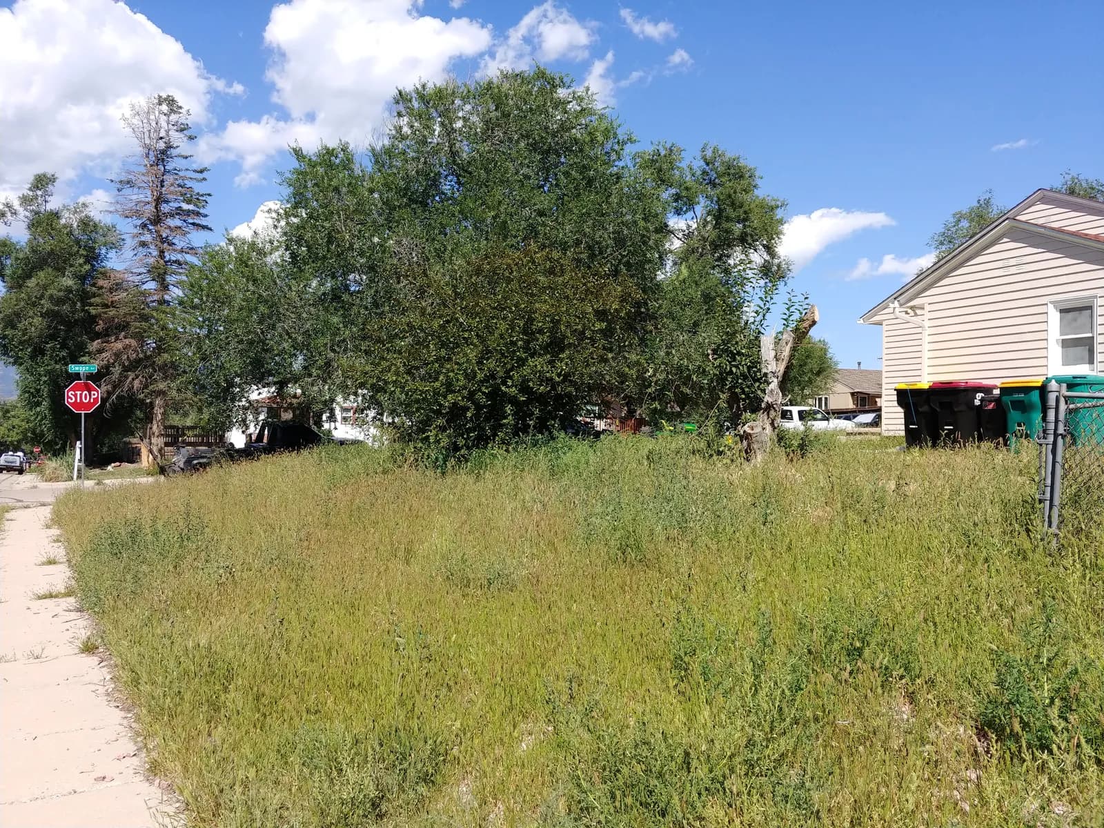 Corner lot buried in waist-high weeds and overgrown brush before S&C Landscaping cleared it