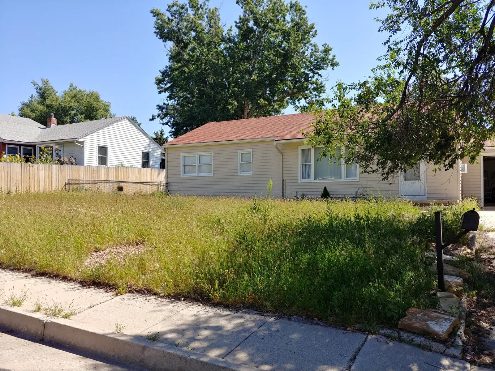 Front yard of a ranch house overrun with tall weeds and dead grass before landscaping